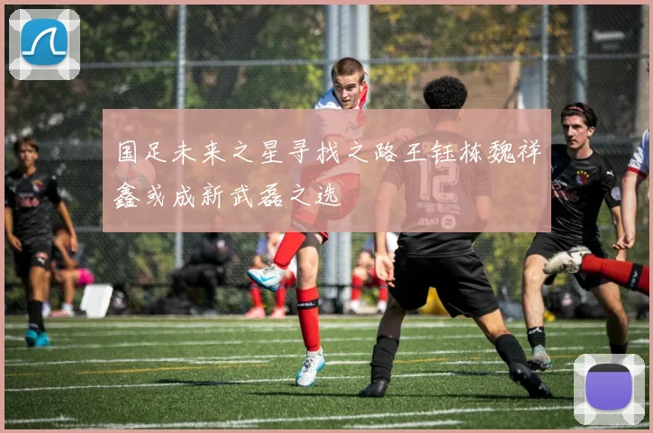 国足未来之星寻找之路王钰栋魏祥鑫或成新武磊之选